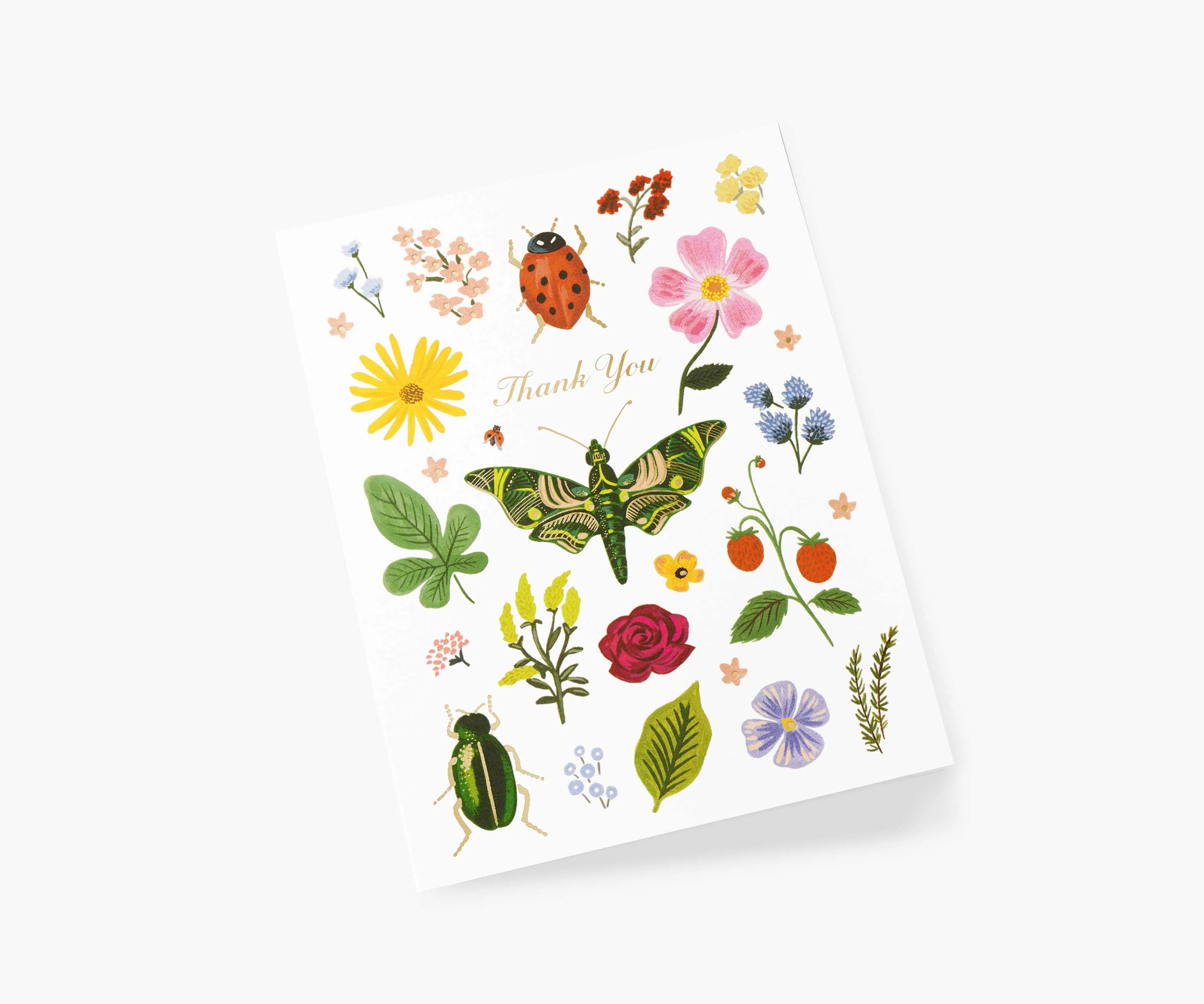 Curio Thank You Greeting Card - Image 2