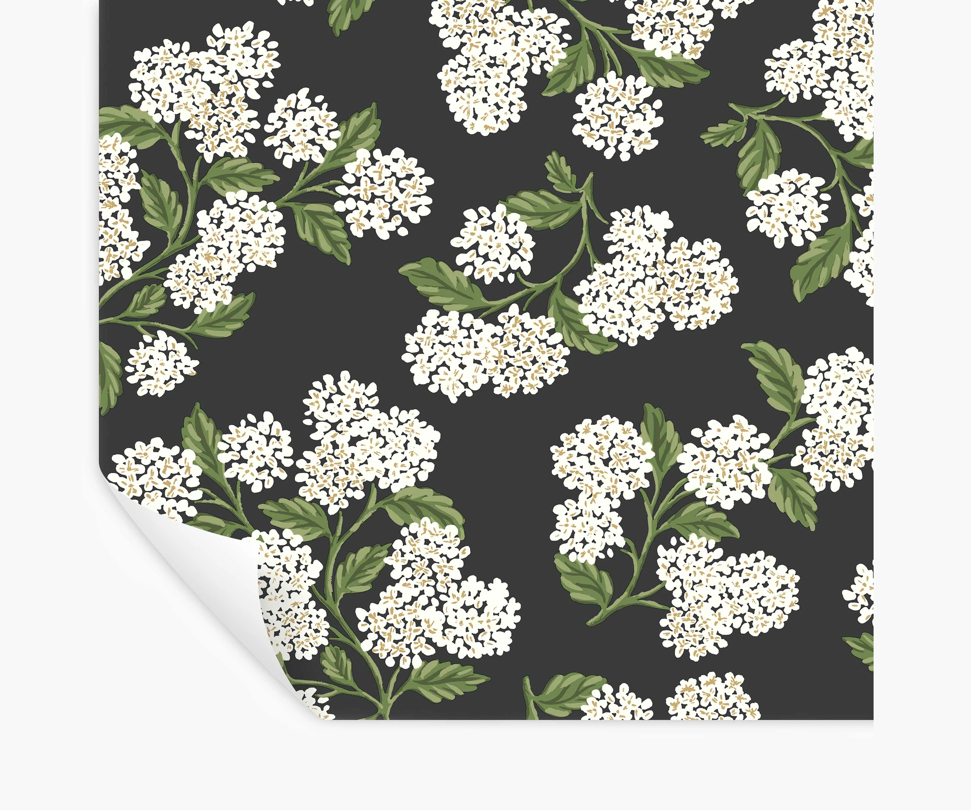 Hydrangea Peel & Stick Wallpaper - Black & White