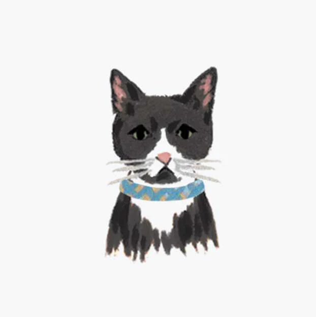 Pets Personalized Stationery - Cat 1 - Image 2