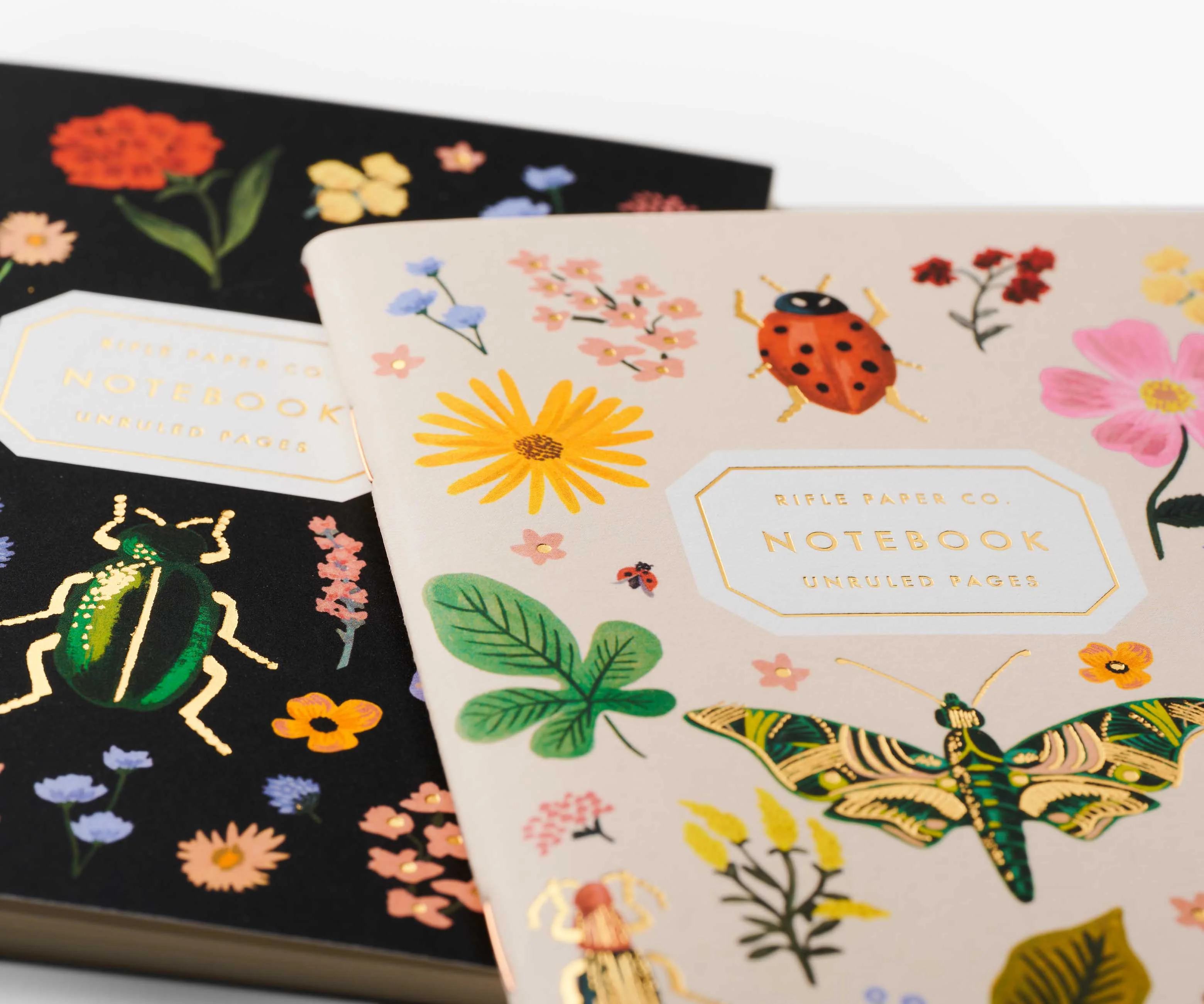 Pocket Notebook Set - Curio - Image 3