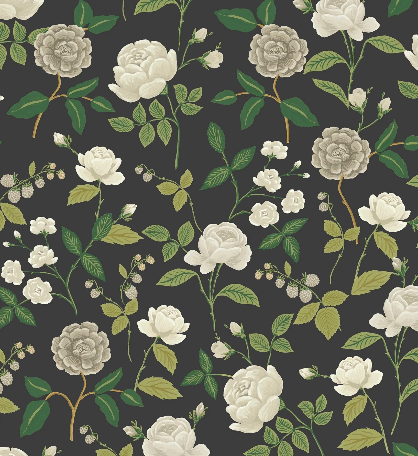 Roses Wallpaper - Black - Image 2