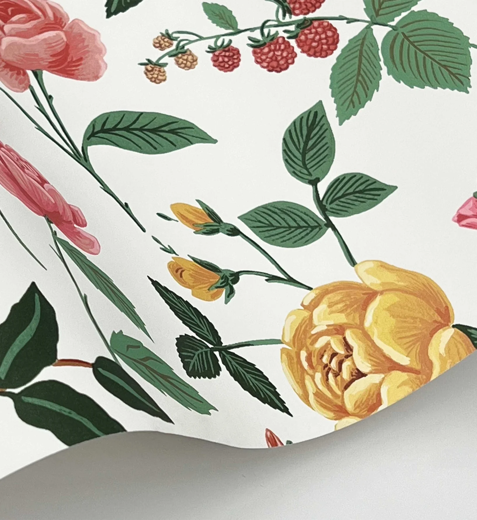 Roses Wallpaper - White & Blush - Image 3